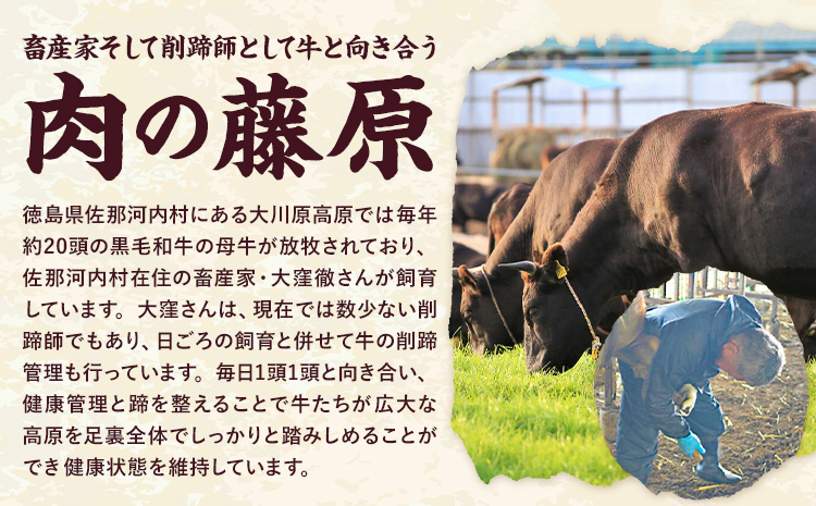 《定期便》全4回お届け！大川原高原牛　赤身(スライス・切り落とし・焼肉・しゃぶしゃぶ 各500gずつ) 株式会社肉の藤原 《お申込み月の翌月から出荷開始》牛肉 定期便 月1回 徳島県 佐那河内村３