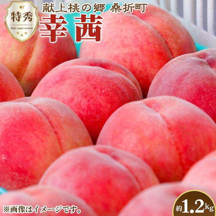 【ふるさと納税】もも【幸茜・2026年産】特秀1.2kg　桑折町産　JAふくしま未来　桃 ／ もも モモ 果物 フルーツ 旬 甘い 甘み ジューシー 果肉 果汁 新鮮 フレッシュ デザート おいしい 産地直送 桑折 こおり こおりまち 福島県 特産品 No.228