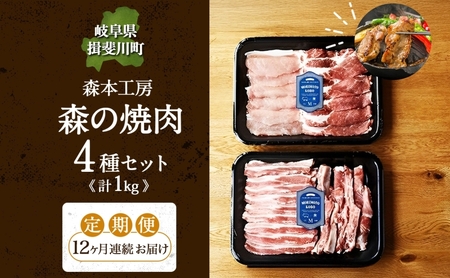 12カ月定期便 森本工房 森の焼肉 飛騨・美濃けんとん 4種 セット計1kg 各250g 焼肉 肉 お肉 豚肉 ブランド豚 ポーク 豚バラ スペアリブ ロース 肩ロース 食べ比べ 詰め合わせ BBQ 