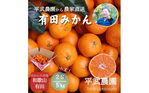 
                  農家直送！有田みかん（5kg 2Sサイズ（小玉）秀品）平武農園　～蛍飛ぶ町から旬の便り～
                