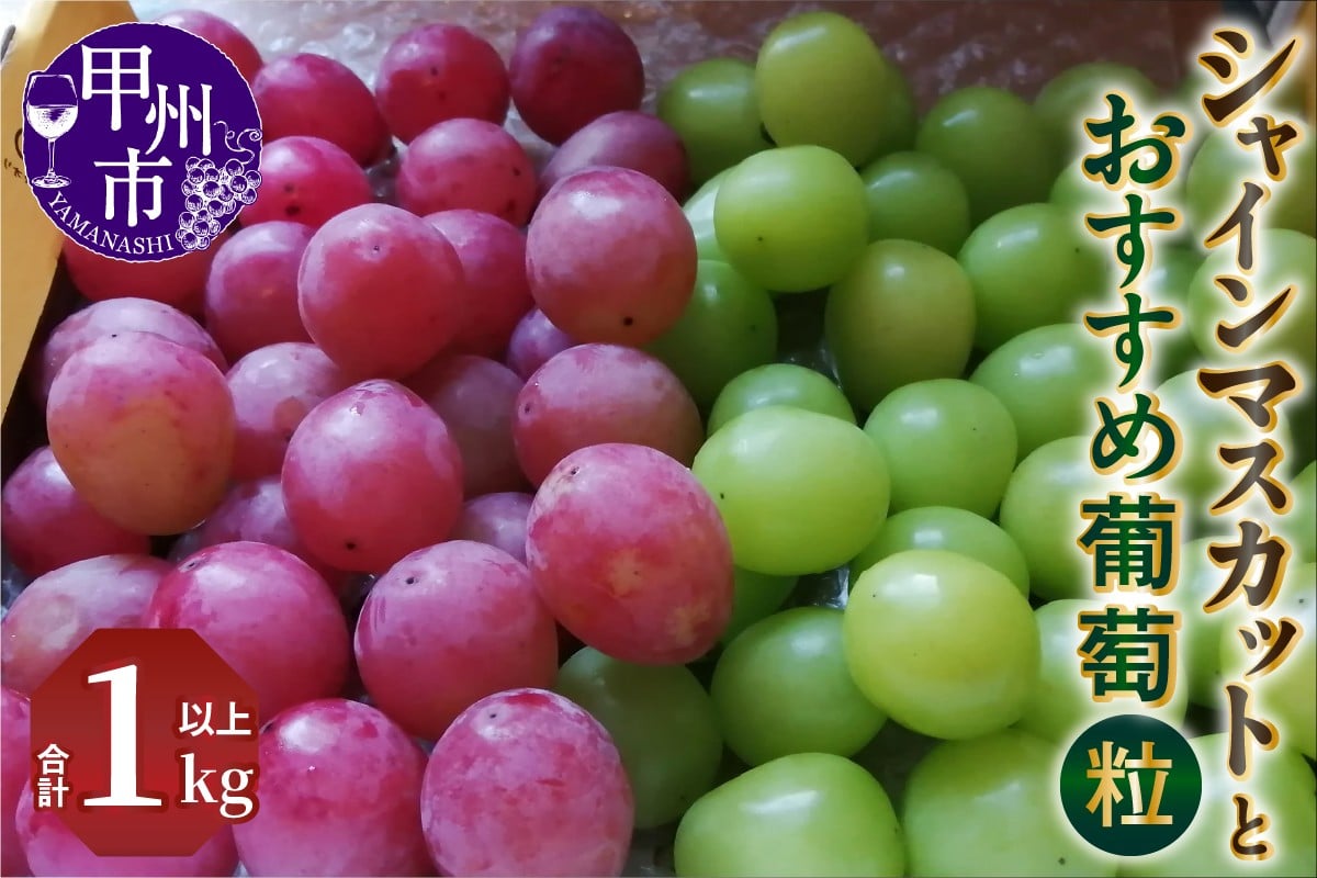 
            シャインマスカットとおすすめ葡萄（粒）合計1kg以上【2026年発送】（NSF）A08-961 【シャインマスカット 葡萄 ぶどう ブドウ 令和8年発送 期間限定 山梨県産 甲州市 フルーツ 果物】
          