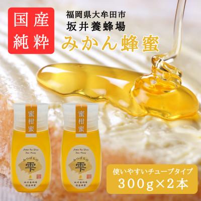 ふるさと納税 大牟田市 みつばちの雫　国産みかん蜂蜜　300g×2