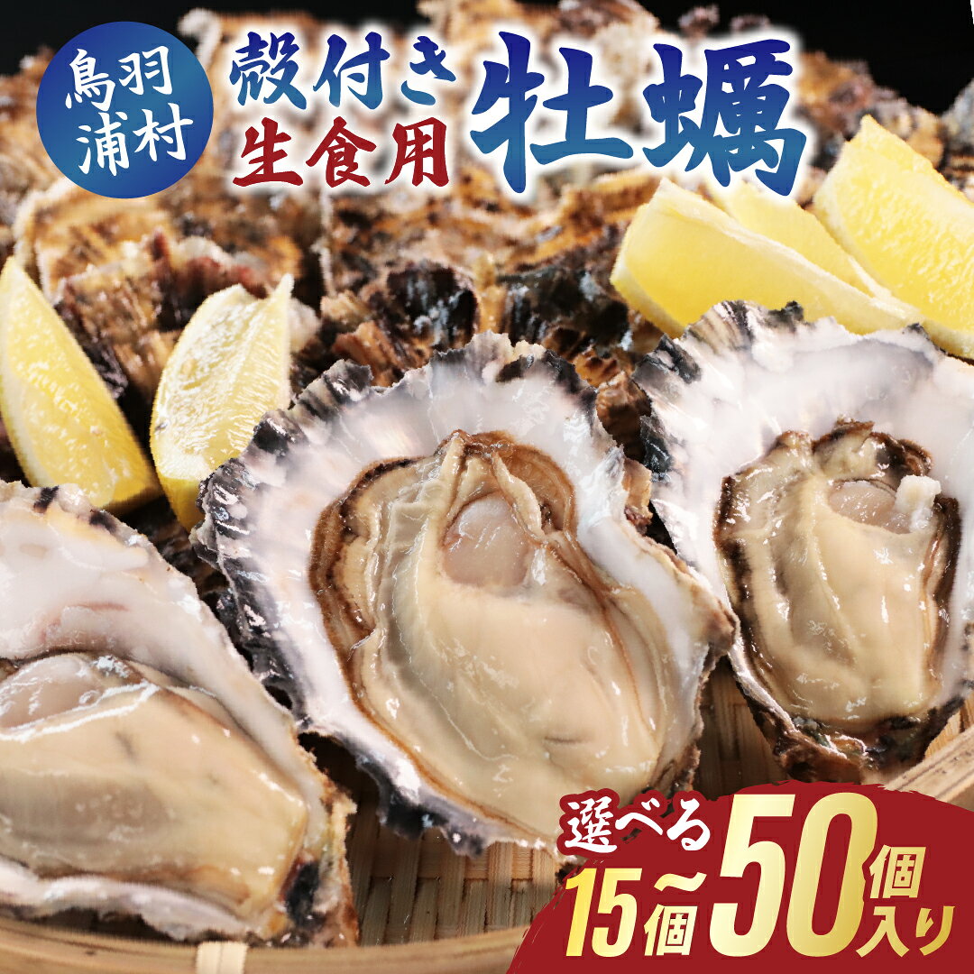 【ふるさと納税】【先行予約／2026年12月より順次発送】牡蠣 生食用 浦村 カキ 選べる 個数15個～50個《 オイスターナイフ ・ 軍手付き 》 シェルカキ （ 殻付き牡蠣 ） 牡蠣 ギフト お歳暮 I-55