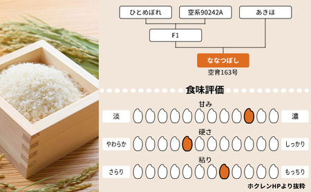 ななつぼし 北海道産 ななつぼし【20kg(5kg×4袋)】【定期便6回】