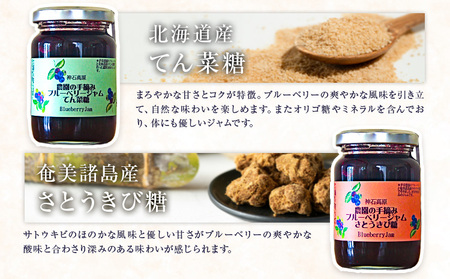ジャム 神石高原町産 ブルーベリー ジャム 食べ比べ 2本セット 2種 計840g 伊草農園《30日以内に出荷予定(土日祝除く) 》広島県 神石高原町 ブルーベリー ジャム てん菜糖 さとうきび糖