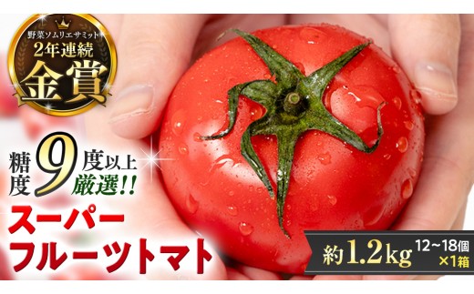 
                  《 2027年 収穫分 》3～4月配送 スーパーフルーツトマト 中箱 約1.2kg × 1箱 (12～18玉/1箱) 糖度9度以上 先行予約 茨城県 桜川市 KEK 国産 トマト フルーツトマト ブランドトマト 野菜 ギフト 贈答 青空レストラン アド街ック天国 グッドモーニング 黄金のワンスプーン 昼めし旅 [BC002sa0304]
                