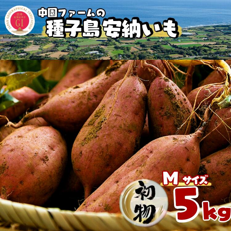 【ふるさと納税】＼ 8月下旬～9月上旬 発送 ／2025年産 初物 種子島 安納いも 本場 の 安納 地区で収穫 縁起 初物 旬 先取り 食べやすい サイズ 安納芋 （ 生芋 ） 5kg