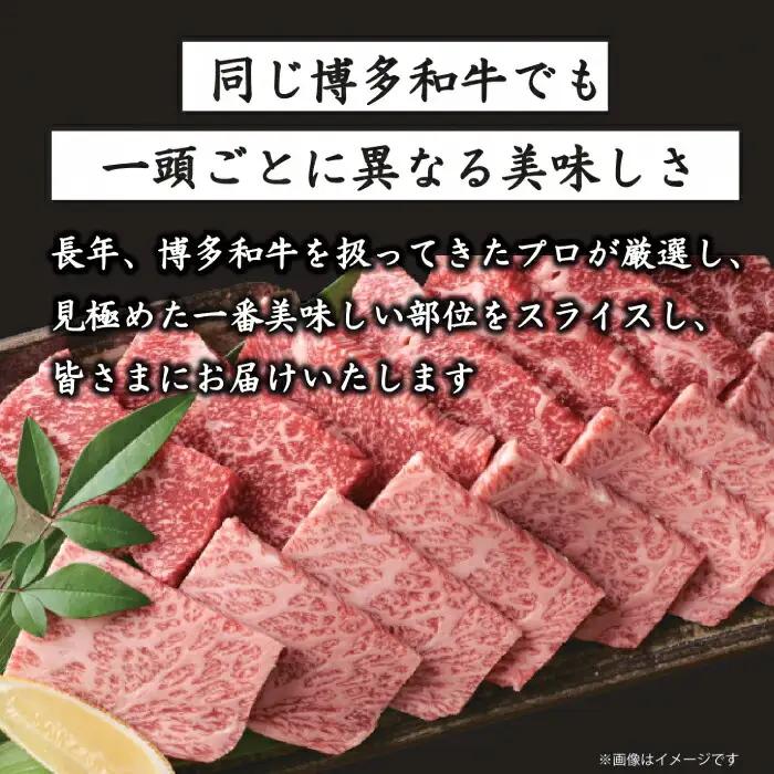 博多和牛 焼肉用 500g 牛肉 BBQ [ABBP012]