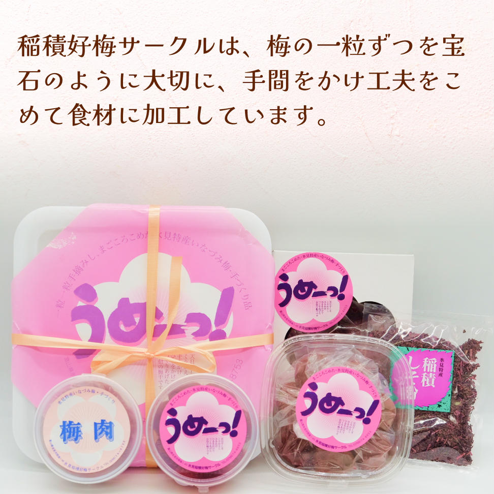 うめーっ！氷見稲積梅 梅干し・しそ粉・梅肉セット 富山県