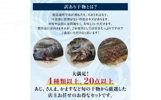 【訳あり干物セット】たっぷり20点以上！おざきのひもの「おまかせスペシャルセット」【冷蔵】/ ひもの 干物 干物セット 個包装 一夜干し 訳あり わけあり【ozk103】