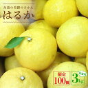【ふるさと納税】【先行予約】爽やかに甘い！糸島産「はるか」 お試し用約3kg 【2025年3月以降順次発送】 二丈赤米産直センター [ABB003] 7000円 7千円 常温