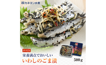 漬魚 いわし コハダ ごま漬 各500g 詰め合わせ セット カネヨン水産 食べ比べ おかず 惣菜 おつまみ 魚介