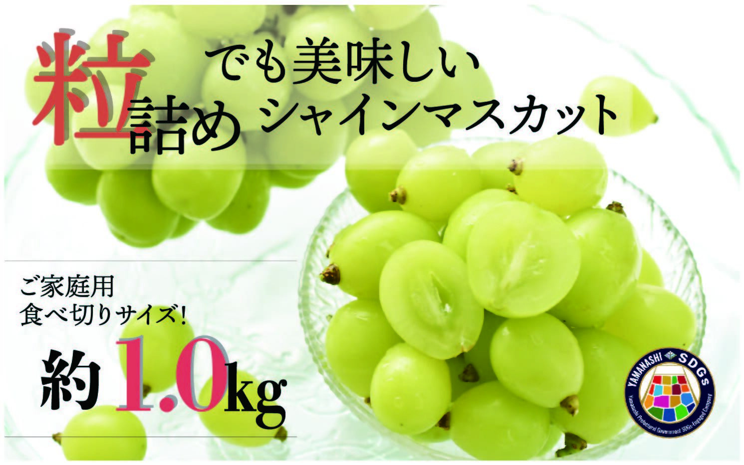 
            SDGs 訳あり 粒シャインマスカット 約1.0kg【2026年発送】（KSB）B-136 【シャインマスカット 葡萄 ぶどう ブドウ 令和8年発送 期間限定 山梨県産 甲州市 フルーツ 果物】
          