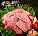 【ふるさと納税】宮崎牛 切り落とし 焼肉 計1kg 牛肉 国産 食品 おかず 黒毛和牛 万能食材 炒め物 ビーフ 人気 おすすめ お取り寄せ グルメ パーティー お祝 記念日 ご褒美 贅沢 高級 ブランド牛 ミヤチク BBQ キャンプ アウトドア グランピング 宮崎県 日南市 送料無料