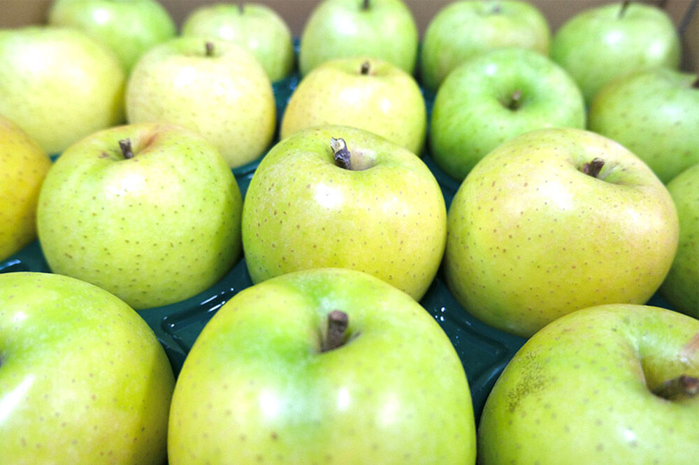 【寄附額見直しました】【26年3月発送】りんご 平均糖度13度以上！ 王林 約5kg おもてなし用 青森 果物 フルーツ 林檎 リンゴ くだもの [りんご 王林 おもてなし 贈答 青森 果物 フルーツ