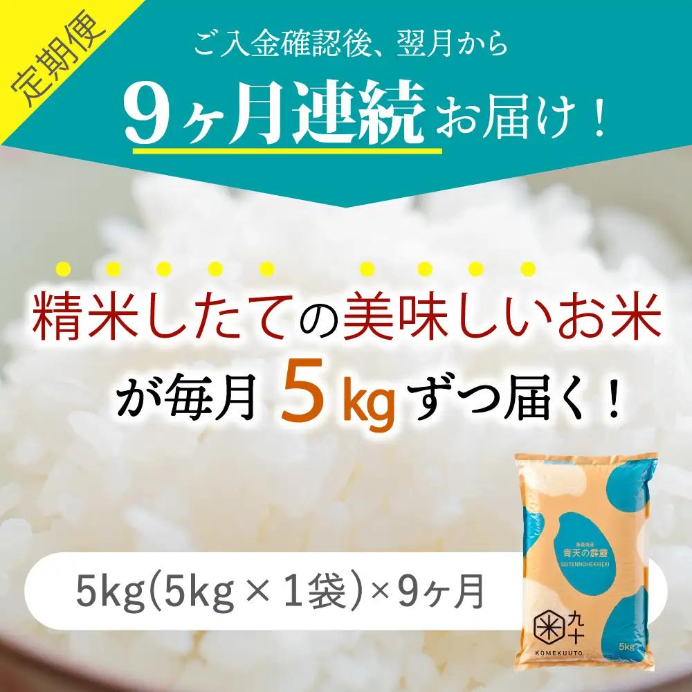 青天の霹靂 5kg【定期便9ヶ月】精米 青森県産【特A】晴天の霹靂