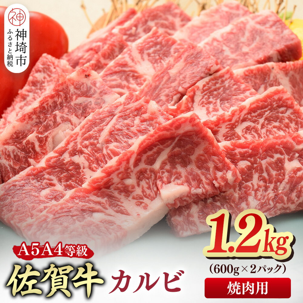 【ふるさと納税】佐賀牛 カルビ 焼肉用 1.2kg(600g×2)【A4～A5ランク】【希少 国産和牛 牛肉 肉 牛 焼肉】(H085207)