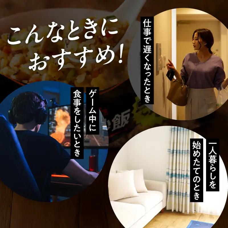 Umios 冷凍食品 WILDish 牛カルビ焼肉めし １人前×16個入り 045-009