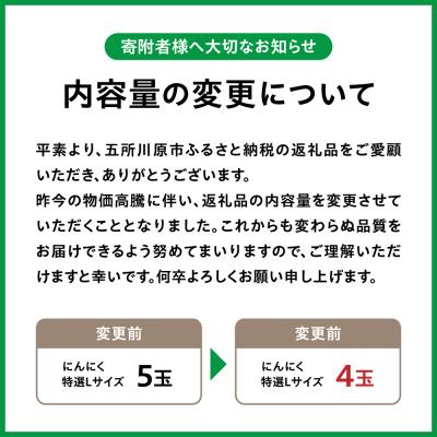 ふるさと納税 五所川原市 青森県産 にんにく (特選) Lサイズ 4玉 |  | 01
