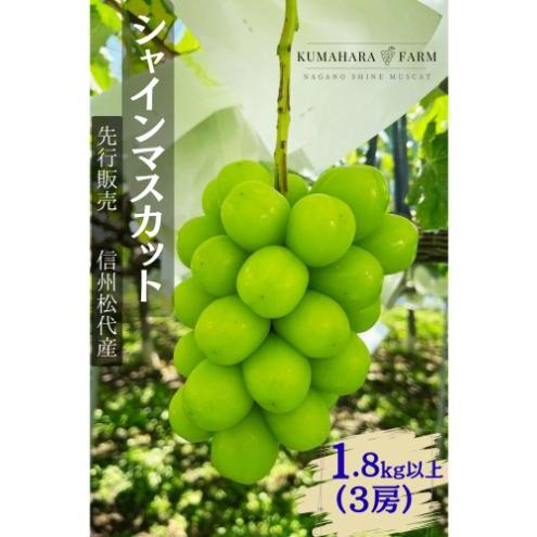 ぶどう シャインマスカット1.8kg以上 果物 信州 長野県 長野市 