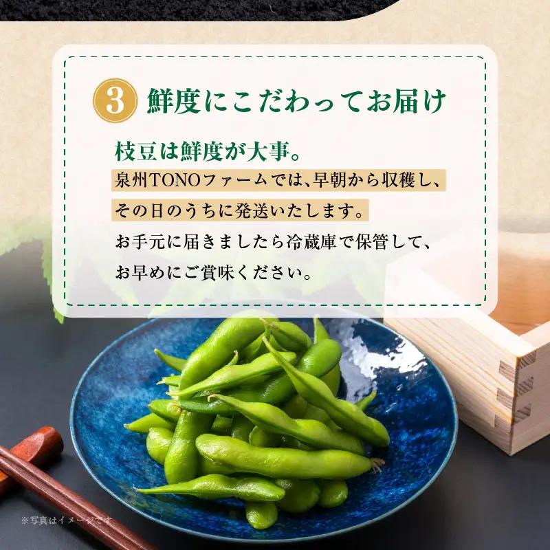【ふるなびWEEK対象】朝採り 黒枝豆 1.8kg 畑から直送 FN-Limited-WE