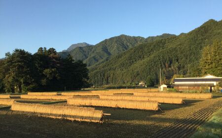 グルテンフリ— 自然栽培の 米粉麺 （ 玄米麺 ）120g× 10食