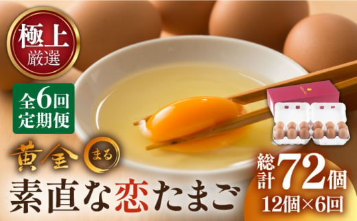 【全6回定期便】【極上厳選】素直な恋たまご・黄金〇 72個 《壱岐市》【壱岐市ふるさと商社】 [JAA005] 12個 定期便 卵 たまご 鶏卵 玉子 ギフト 国産 黄金まる kogane・maru 54000 54000円