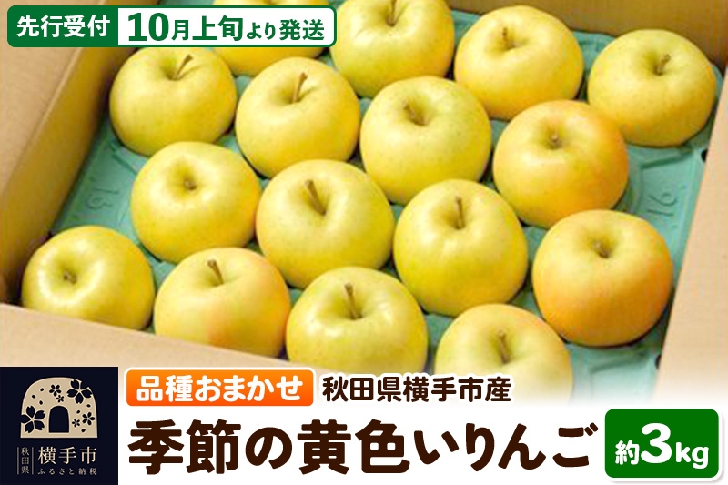 
            季節の黄色いりんご 約3kg
          