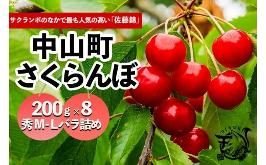 【2026年発送】さくらんぼ　佐藤錦　秀　M－L　200ｇ×8　バラ詰め