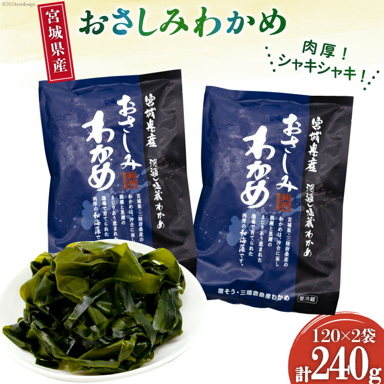 【ふるさと納税】和海藻 おさしみ わかめ 120g×2袋 [マルヤマ 宮城県 気仙沼市 20564732] 海藻 ワカメ 若芽 小分け 三陸わかめ 三陸 国産