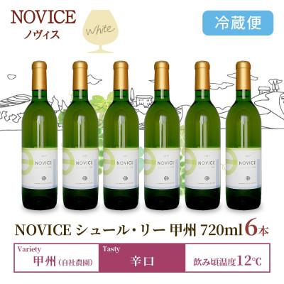 ふるさと納税 笛吹市 白ワイン NOVICE シュール・リー 甲州 720ml×6本 日川中央葡萄酒 山梨県 笛吹市 |  | 02
