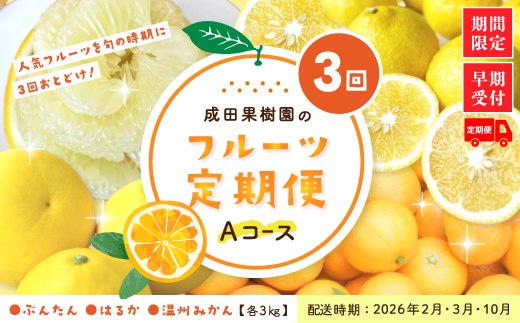 【 3回 定期便 早期受付 】成田果樹園のフルーツ定期便Aコース 人気 フルーツ 予約 先行 数量限定 果物 甘い 柑橘 文旦 ぶんたん はるか みかん ミカン 高知県産 高知 四万十 しまんと【配送時期：2026年2月・3月・10月】
