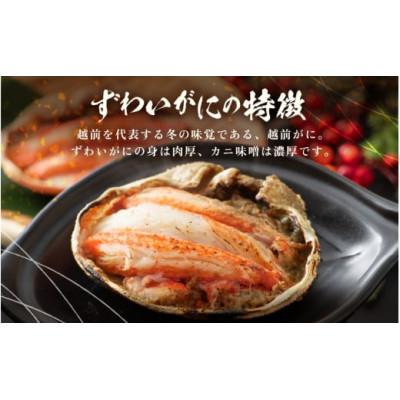 ふるさと納税 越前町 蟹の食べ比べ「ずわいがに × 2パック せいこがに × 3パック」甲羅盛り セット※のし無 |  | 01