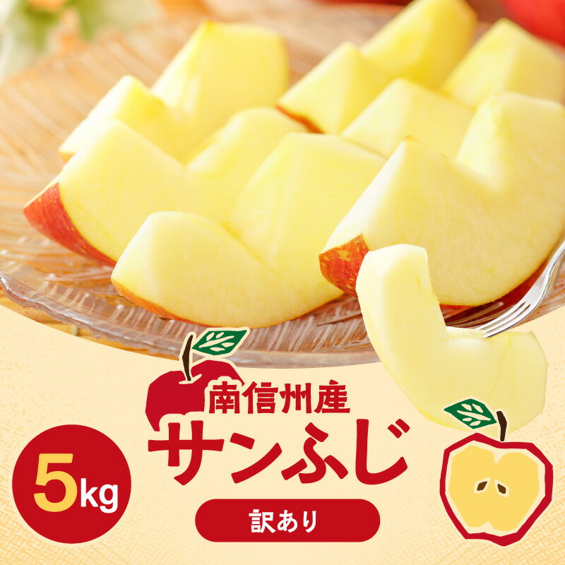 【ふるさと納税】 訳あり りんご サンふじ 訳あり品 長野県産 サンふじ 約5kg ＜2026年1月上旬～2月上旬発送＞ | 果物 くだもの フルーツ 訳あり サンふじ サンフジ りんご リンゴ 林檎 長野県 信州 南信州 飯田市 B48
