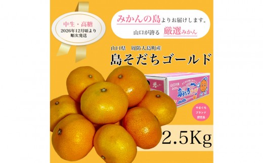 
                  【やまぐちブランド認定品】2026年12月頃より順次発送!島そだちゴールド(中生・高糖) 2.5kg
                