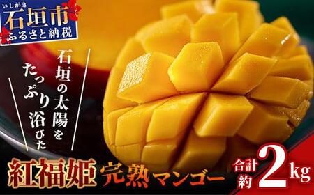 ＜期間限定 春フェア＞ 【2026年発送 先行予約】「紅福姫ブランド」石垣島のマンゴー 約2kg 【沖縄県 石垣市 産地直送 旬 石垣島産 マンゴー 完熟マンゴー アーウィン種マンゴー】OT-05