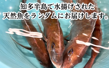 下処理済み 天然魚・切り身・アラセットD タレ付き 岬だより