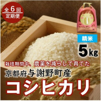 【ふるさと納税】【毎月定期便】京都丹後産コシヒカリ 精米5kg 栽培期間中農薬を減らして育てたお米 農家直送全6回【4086467】