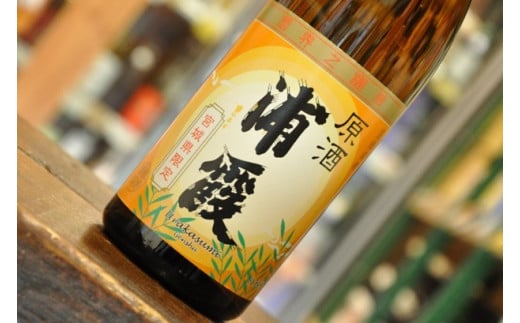 浦霞生一本・原酒セット　 4975522