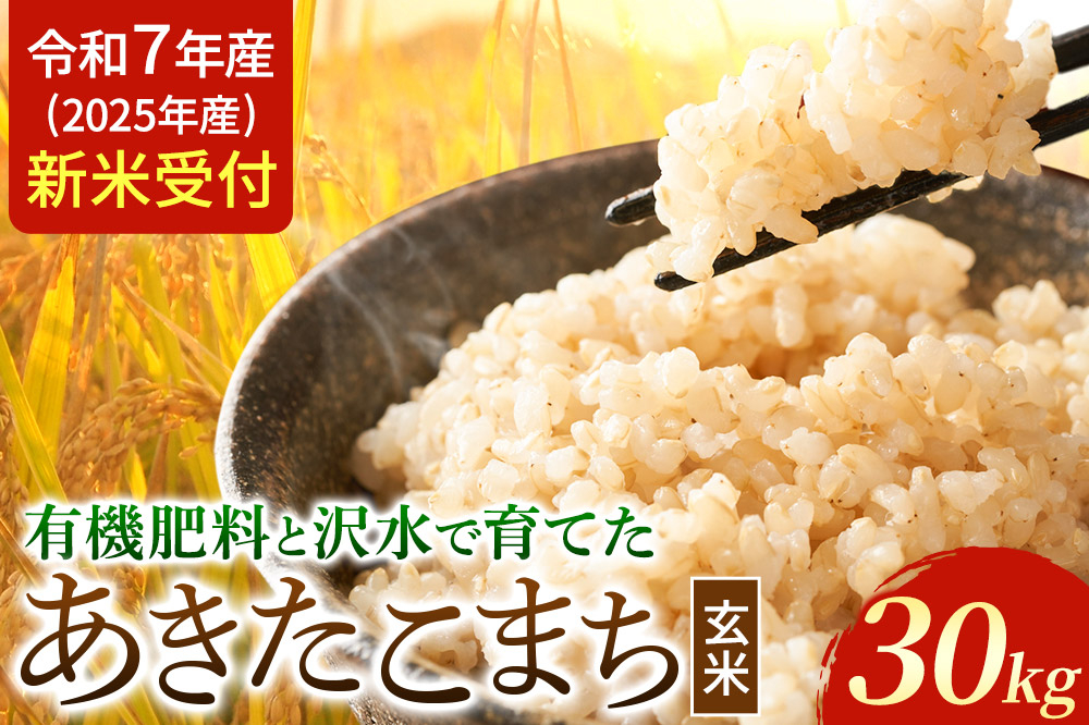 
            《令和7年産 新米受付》米 令和7年 秋田県大仙市産 有機肥料と沢水で育てた あきたこまち【玄米】30kg
          