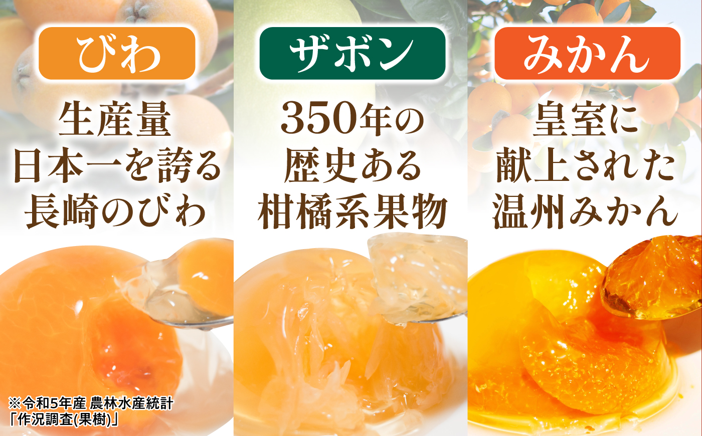 長崎旬彩(びわゼリー、ザボンゼリー、みかんゼリー) 6個入 / ゼリー ぜりー 国産 果物 果実 詰め合わせ びわ ビワ 枇杷 みかん ミカン 蜜柑 ザボン びわゼリー みかんゼリー / 諫早市 / 