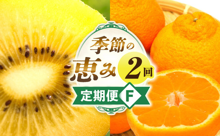 季節の恵み2回定期便F | 果物 フルーツ 定期便 果物定期便 フルーツ定期便 旬 旬の果物 旬の定期便 スイーツ デザート ゴールドキウイ デコポン キウイフルーツ ギフト 贈り物 贈答 ご褒美 厳