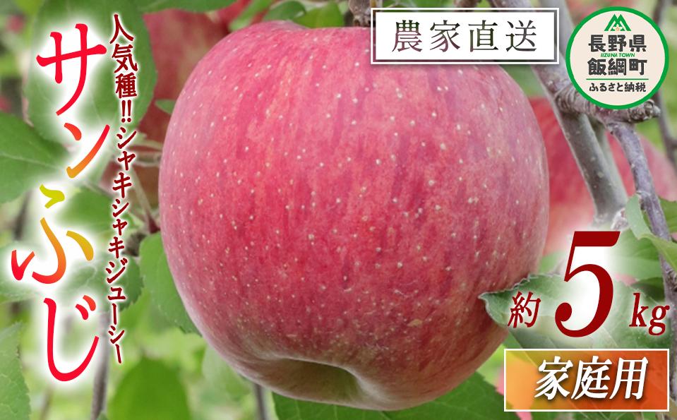
            りんご サンふじ 家庭用 5kg 大友農場 エコファーマー認定 沖縄県への配送不可 2025年12月中旬頃から2026年1月末頃まで順次発送予定 令和7年度収穫分 信州 果物 フルーツ リンゴ 林檎 長野 予約 農家直送 長野県 飯綱町 [0835]
          