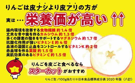 旬のりんご 【 定期便 】 秀 ～ 特秀 5kg × 4回 5キロ ( 12玉 ～ 20玉 ) 9月のりんご 10月のりんご 11月のりんご 12月のりんご 島田フルーツ農園 沖縄県への配送不可 20