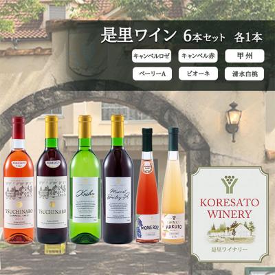 ふるさと納税 赤磐市 是里 ワイン 果実酒　各1本[NO5765-1254]