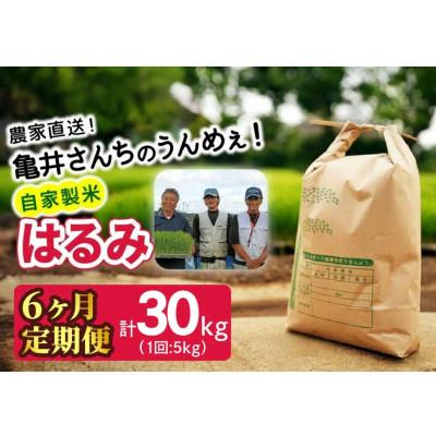 ふるさと納税 伊勢原市 【発送月固定定期便】10月下旬より順次発送　伊勢原産 精米 合計30kg はるみ全6回