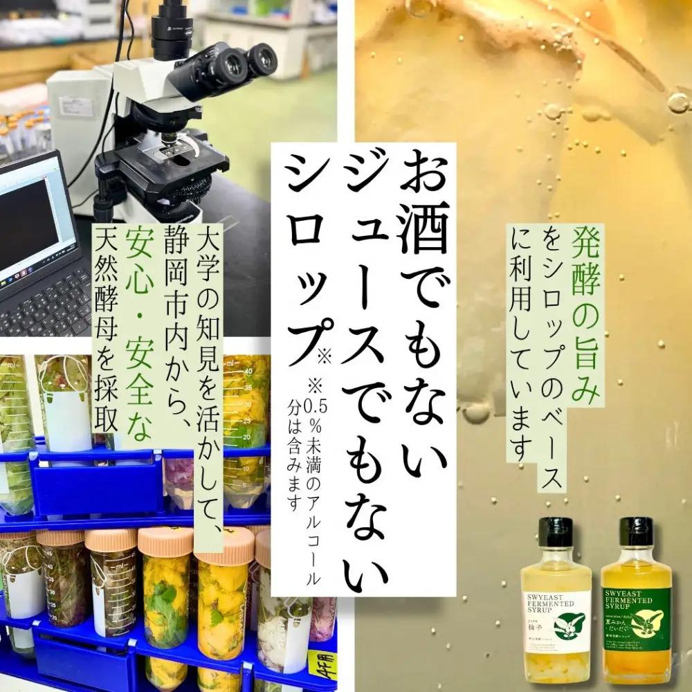 大学研究の天然酵母使用 お酒でもジュースでもない新感覚発酵シロップ　250ｇｘ2本
