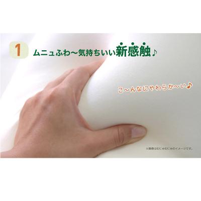 ふるさと納税 八峰町 王様の夢枕 エアロ(ミントグリーン)吸汗・吸水速乾枕カバー使用|16_mkr-28d101 |  | 02