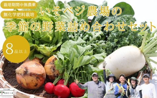 
いそベジ農場の季節の野菜詰め合わせセット〔IV-01〕
