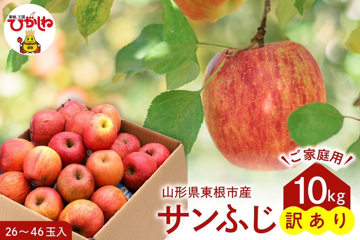 【令和6年産 先行予約】※訳あり※ サンふじ満杯詰(約9.5kg) 東根市 山形県 東根農産センター提供 hi027-131